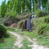 Las mejores ofertas de El Madroño Santiago Pontones